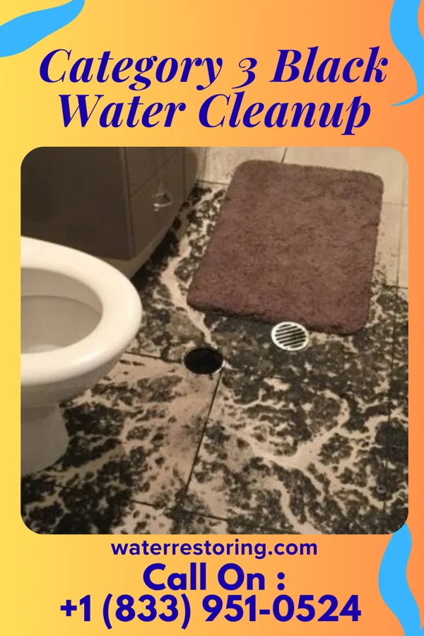 Category 3 Black Water Cleanup in Marion, IA